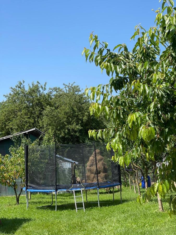 Pensiunea Colt De Rai Corbi Esterno foto