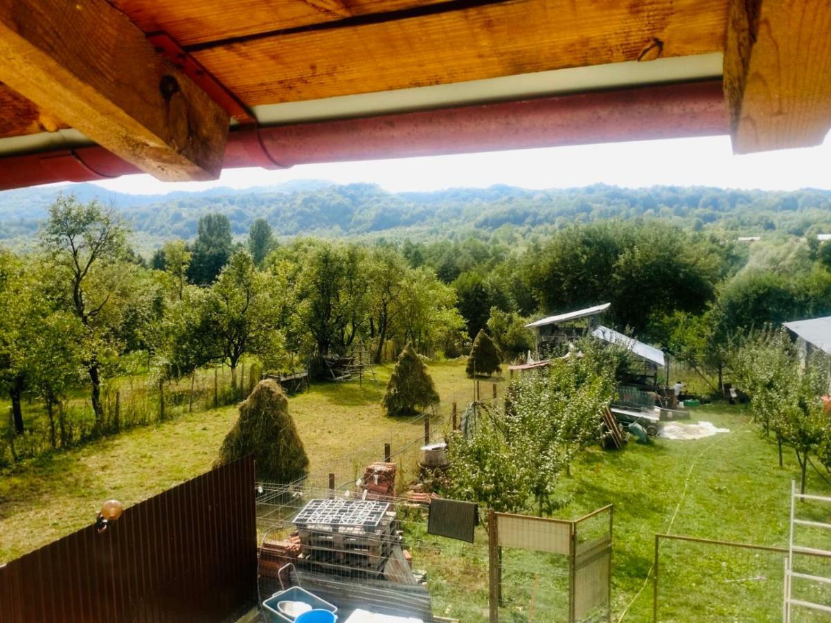 Pensiunea Colt De Rai Corbi Esterno foto